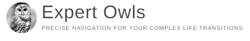 MaxSold Partner - Expert Owls